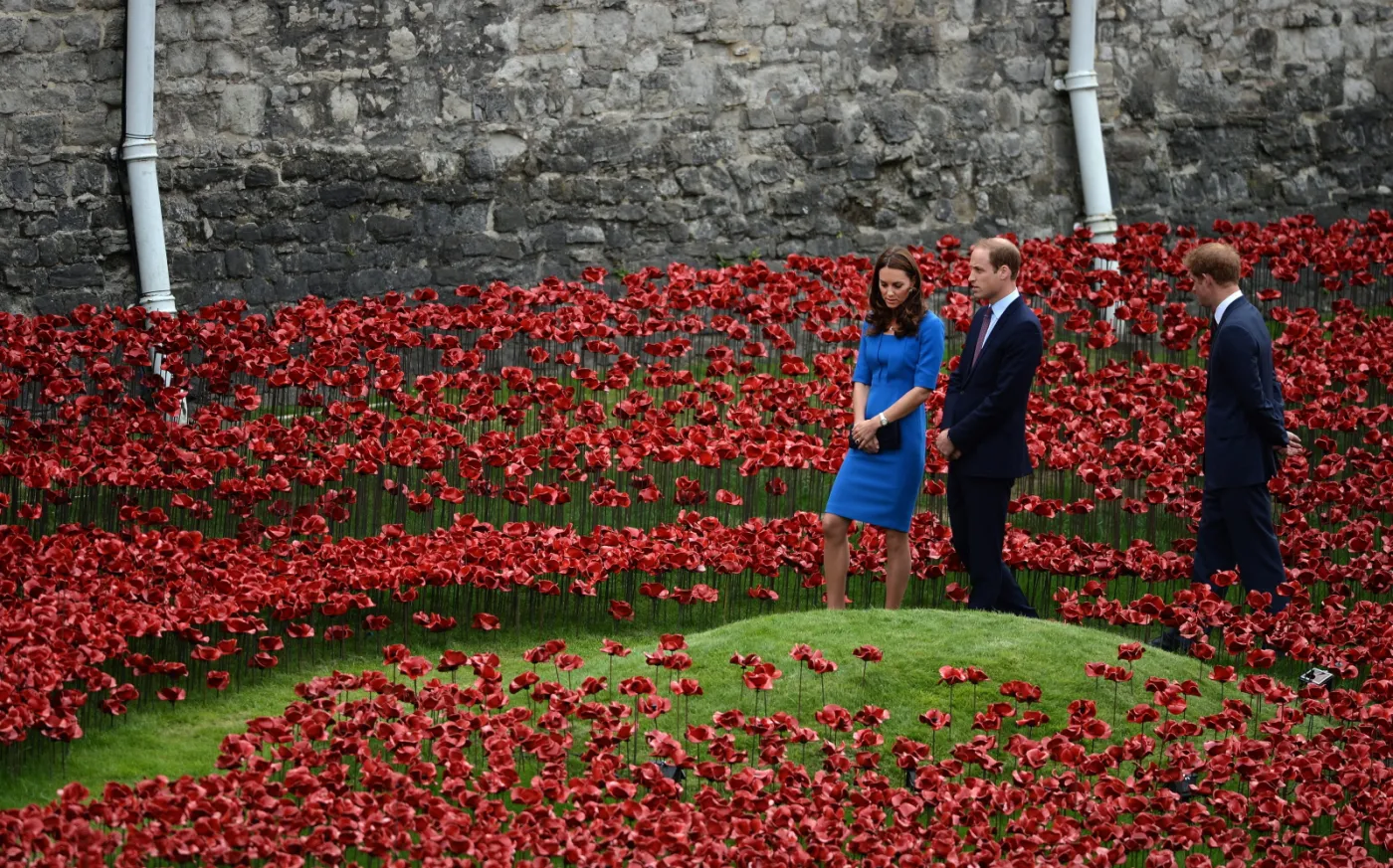 6641809-ksiezna-catherine-ksiaze.jpg