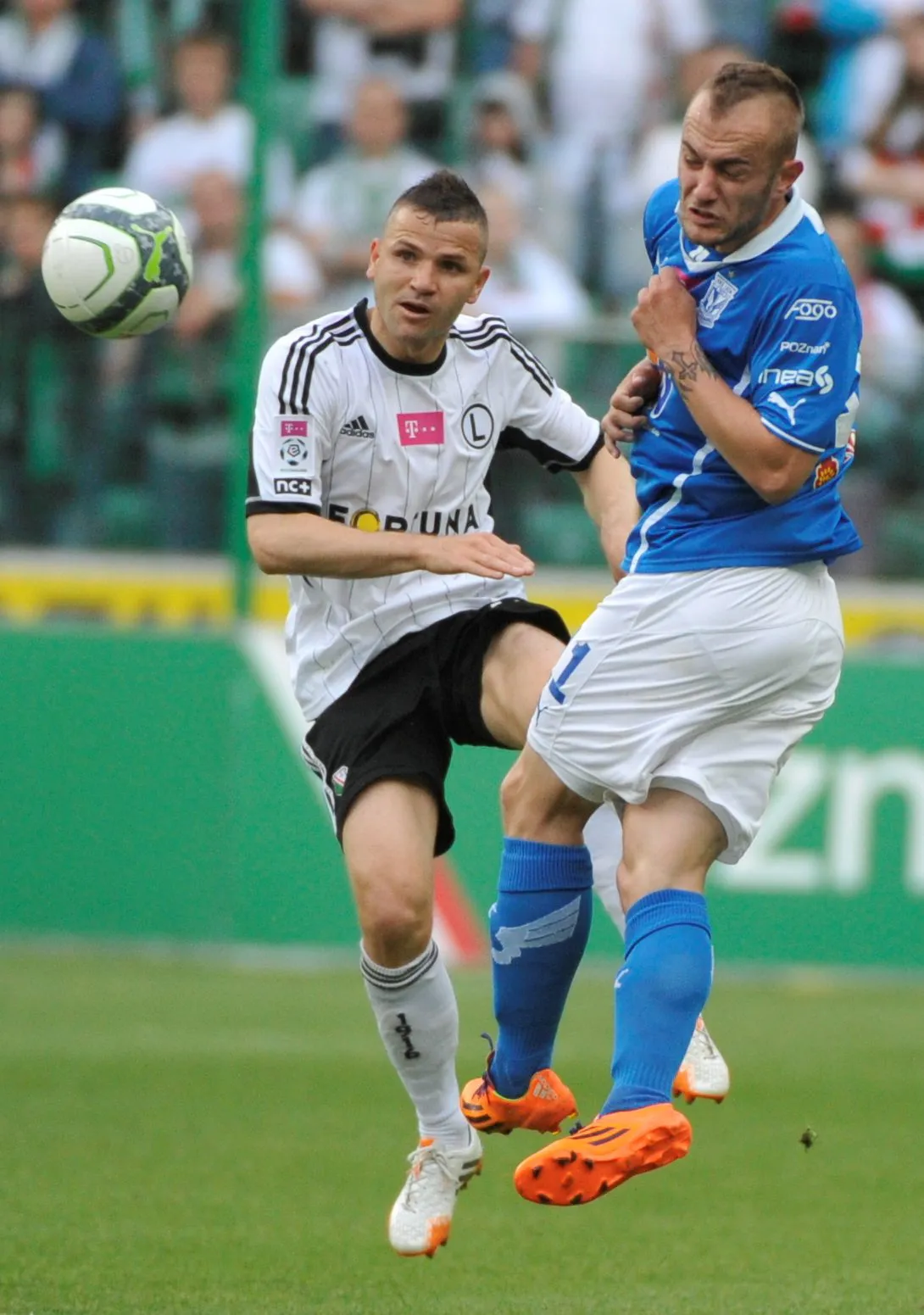 6374176-najwiekszy-sezonu-gergo.jpg