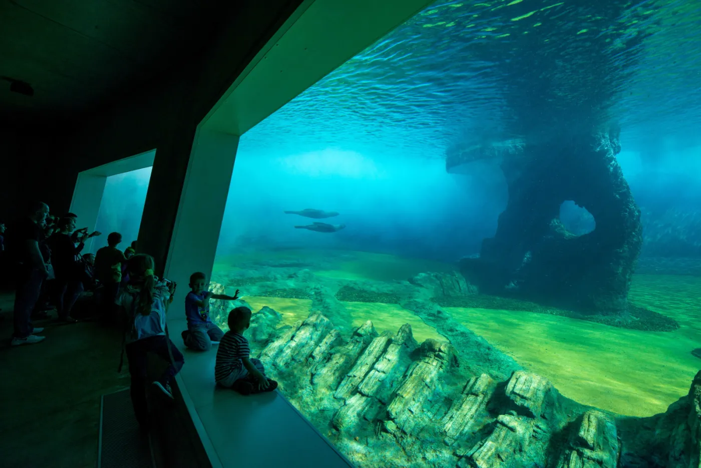 6893992-wroclawskie-afrykarium.jpg