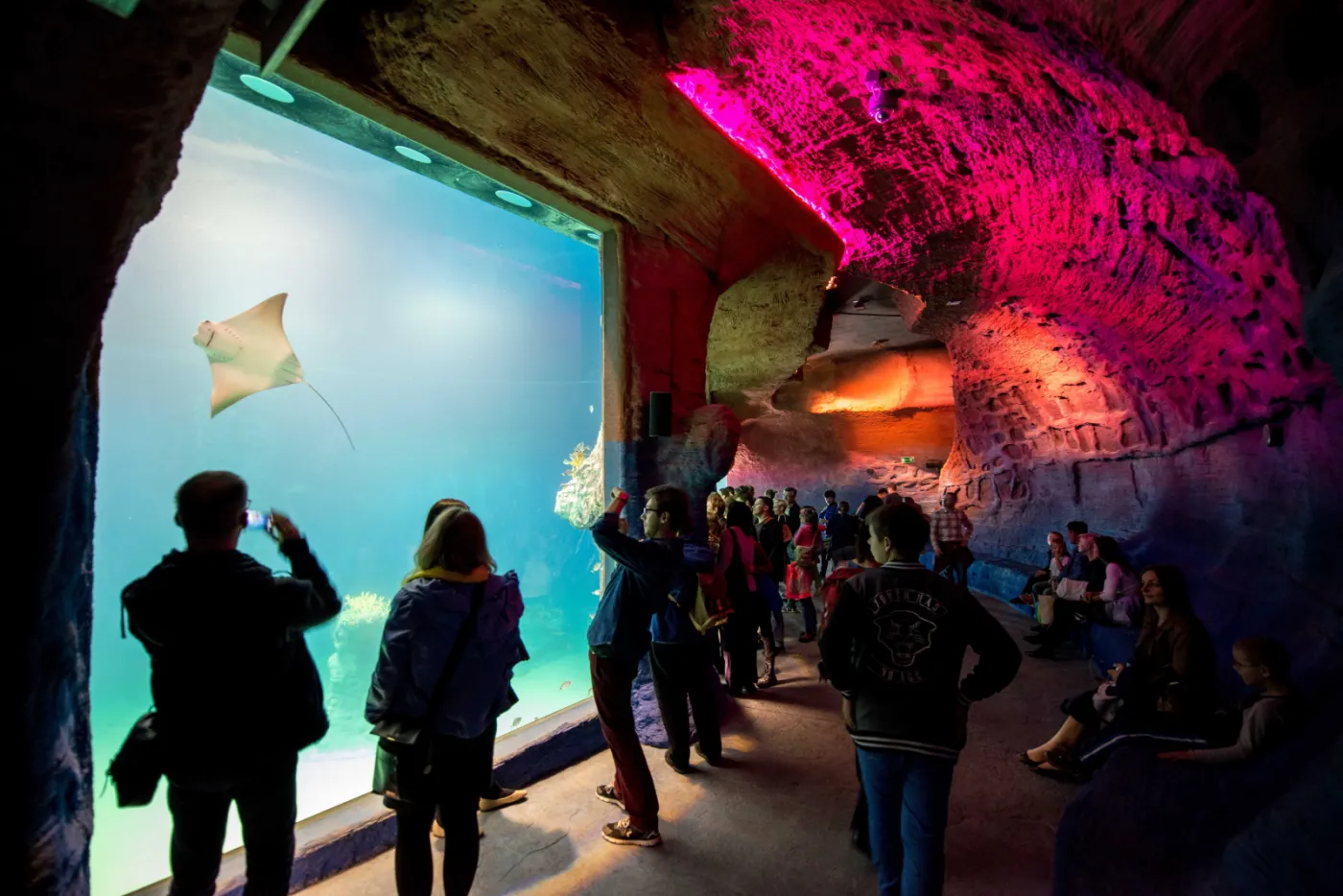6894021-wroclawskie-afrykarium.jpg