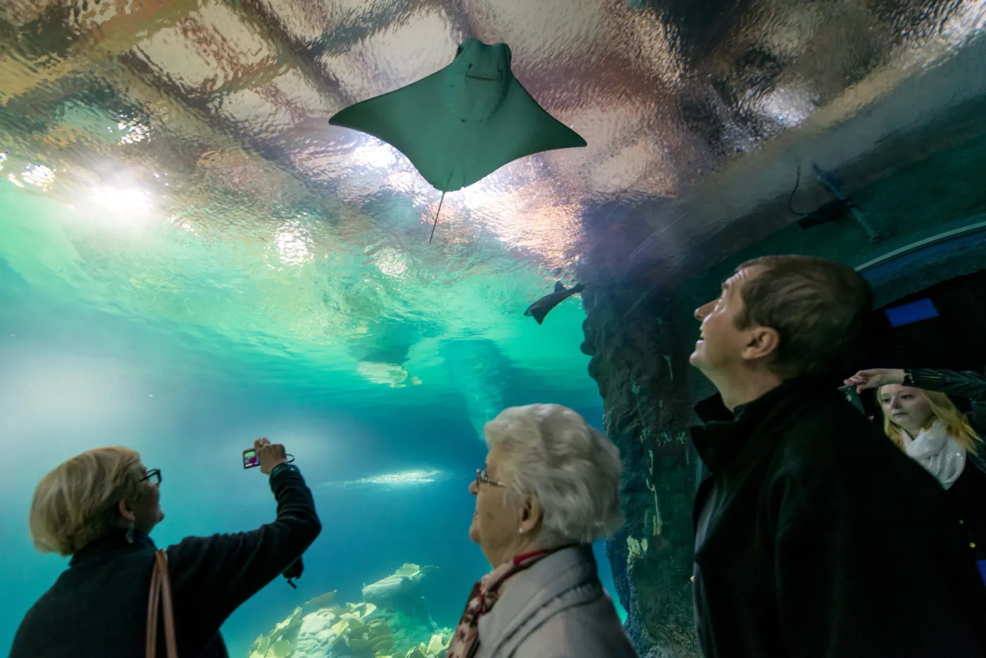6894195-wroclawskie-afrykarium.jpg