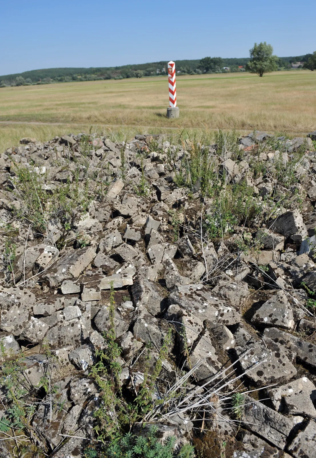 8112006-odsloniete-brzegi-odry.jpg