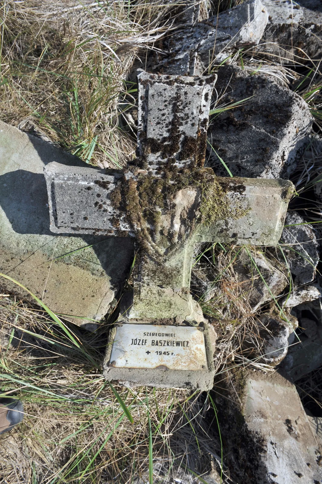 8112037-odsloniete-brzegi-odry.jpg