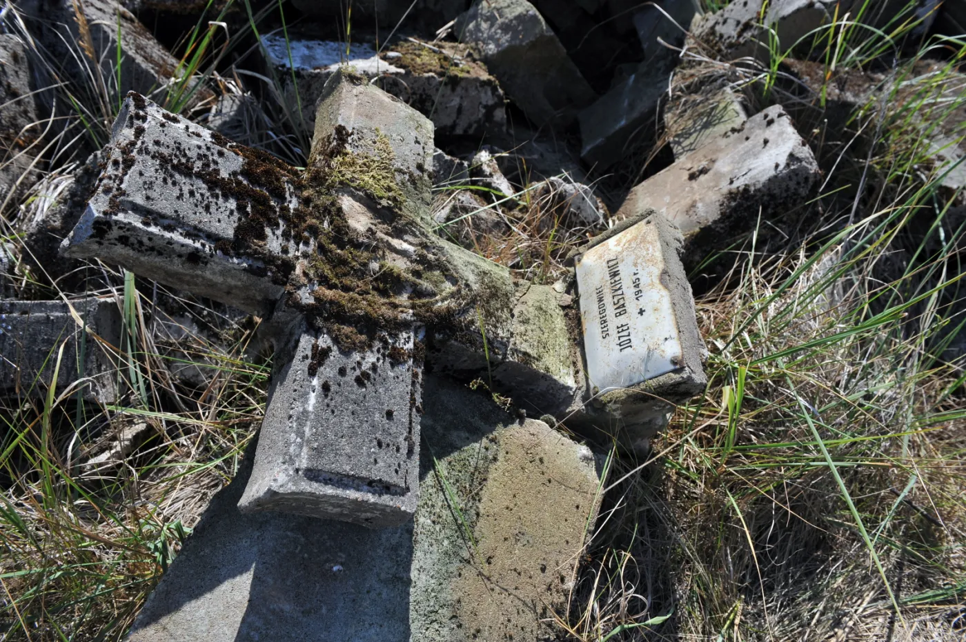 8112068-odsloniete-brzegi-odry.jpg