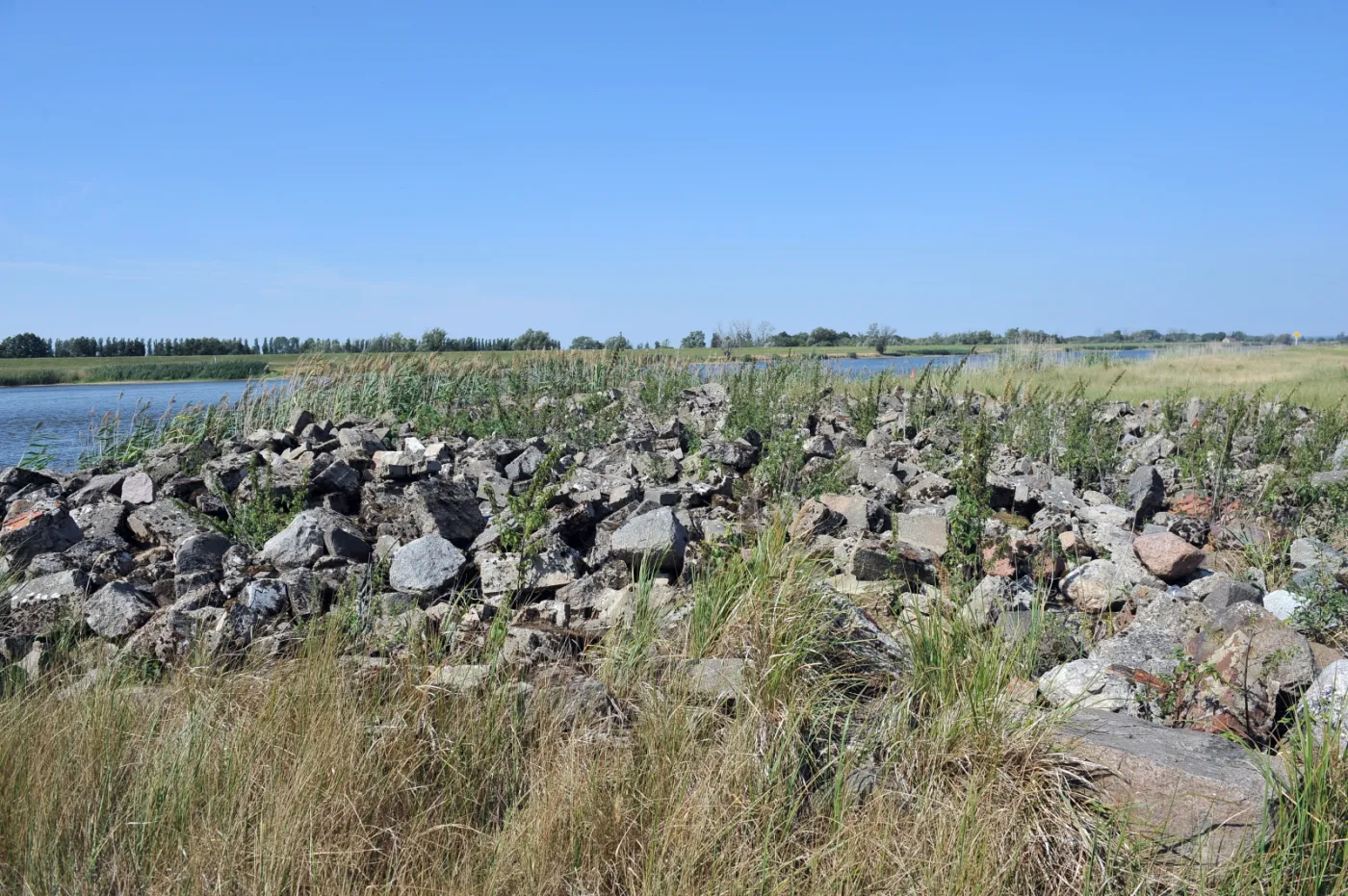 8112130-odsloniete-brzegi-odry.jpg