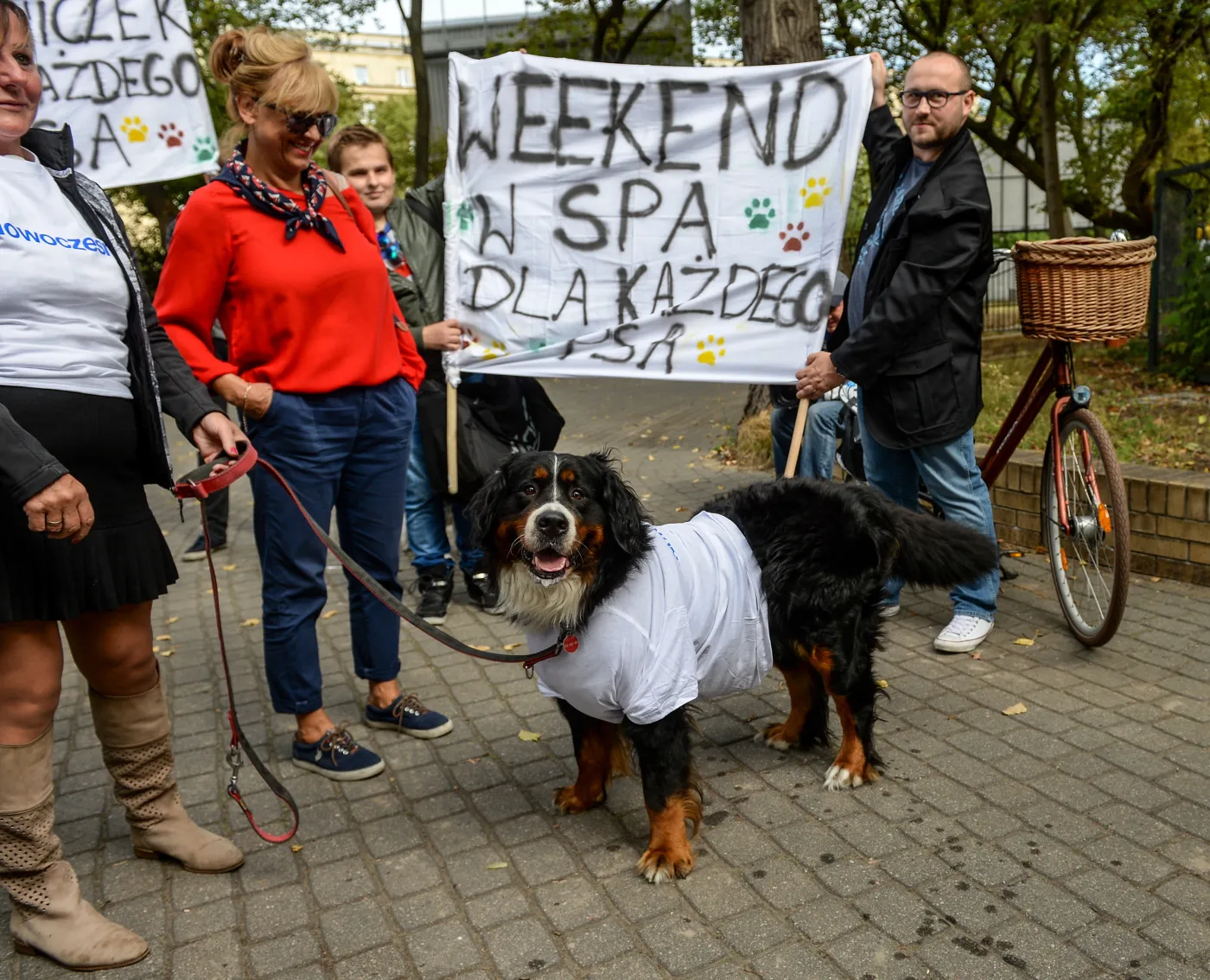 8199347-happening-nowoczesnejpl.jpg
