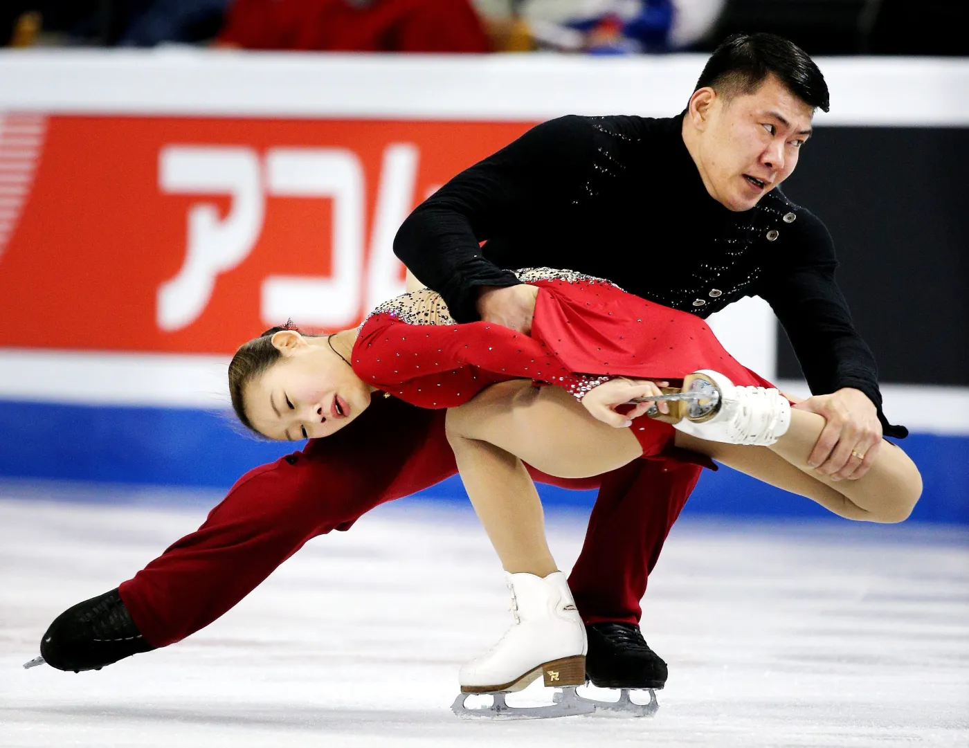 8896040-cheng-peng-i-hao-zhang.jpg