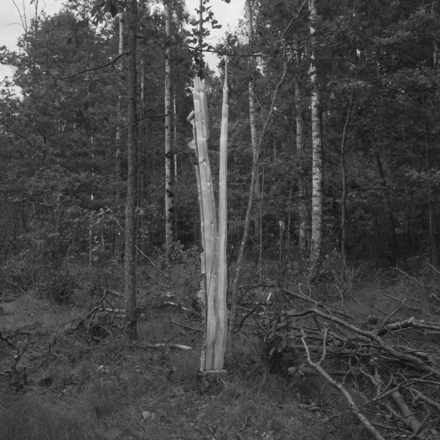9500365-miejsca-ktorych-nie-ma.jpg