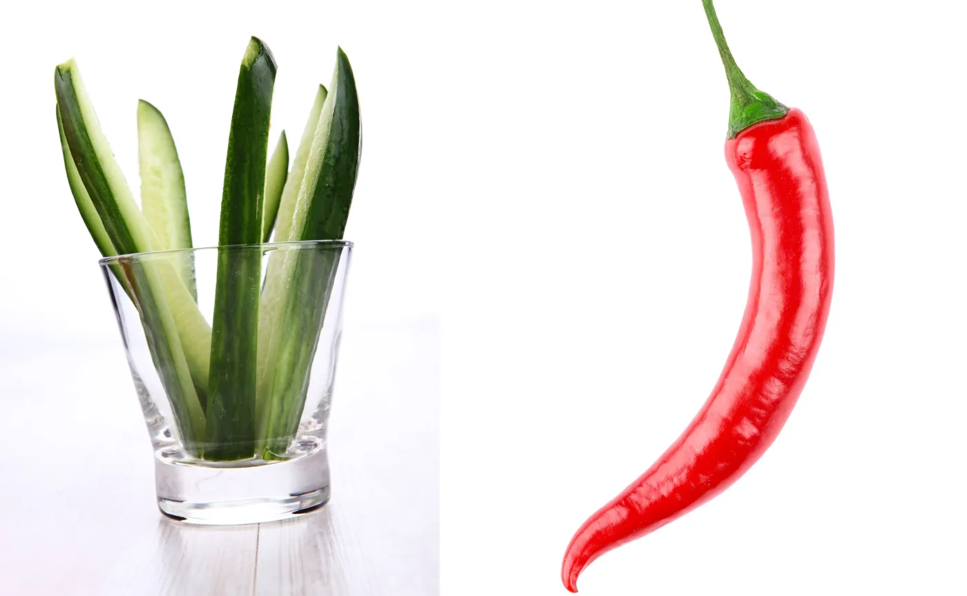 10098237-ogorki-i-papryka-chili.jpg