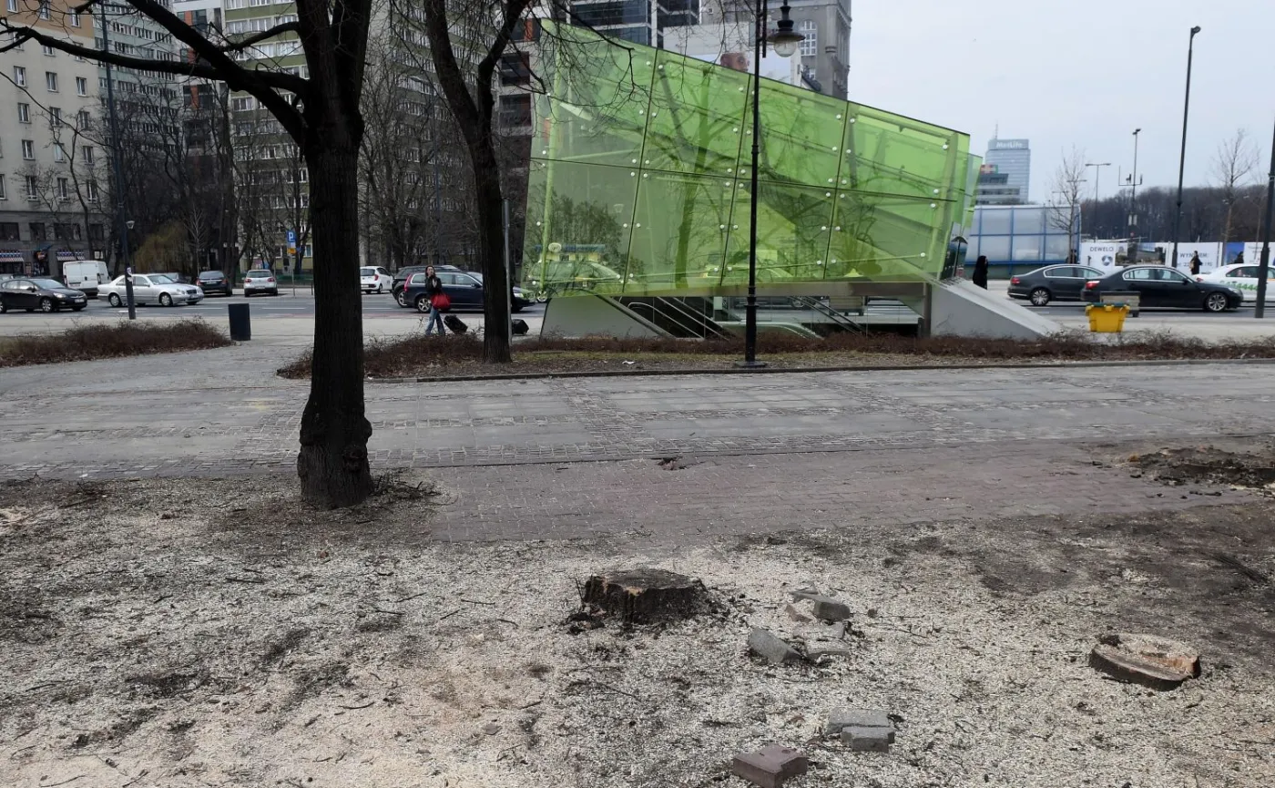 Wycinka drzew w Warszawie
