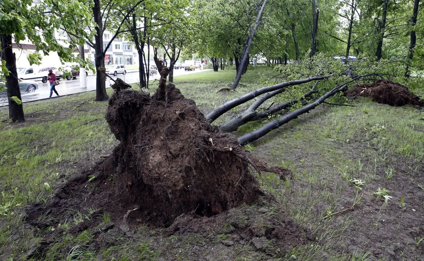 Gwałtowna wichura nad Moskwą. Są ofiary