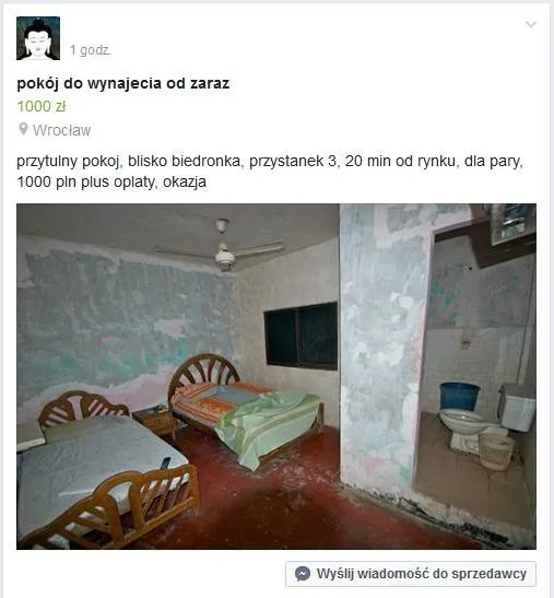 10811107-mieszkanie-do-wynajecia.jpg