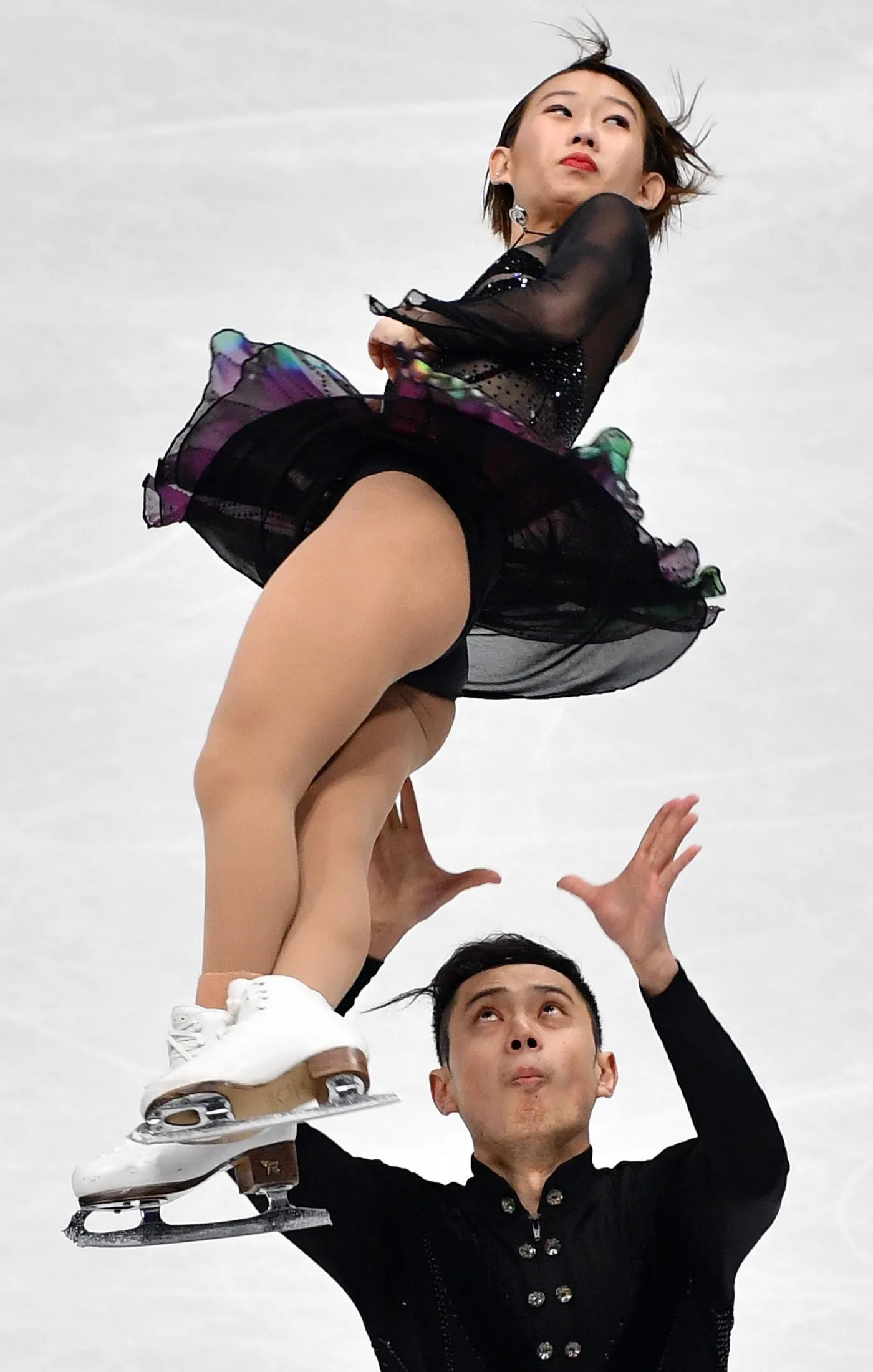 10858635-cheng-peng-i-yang-jin.jpg