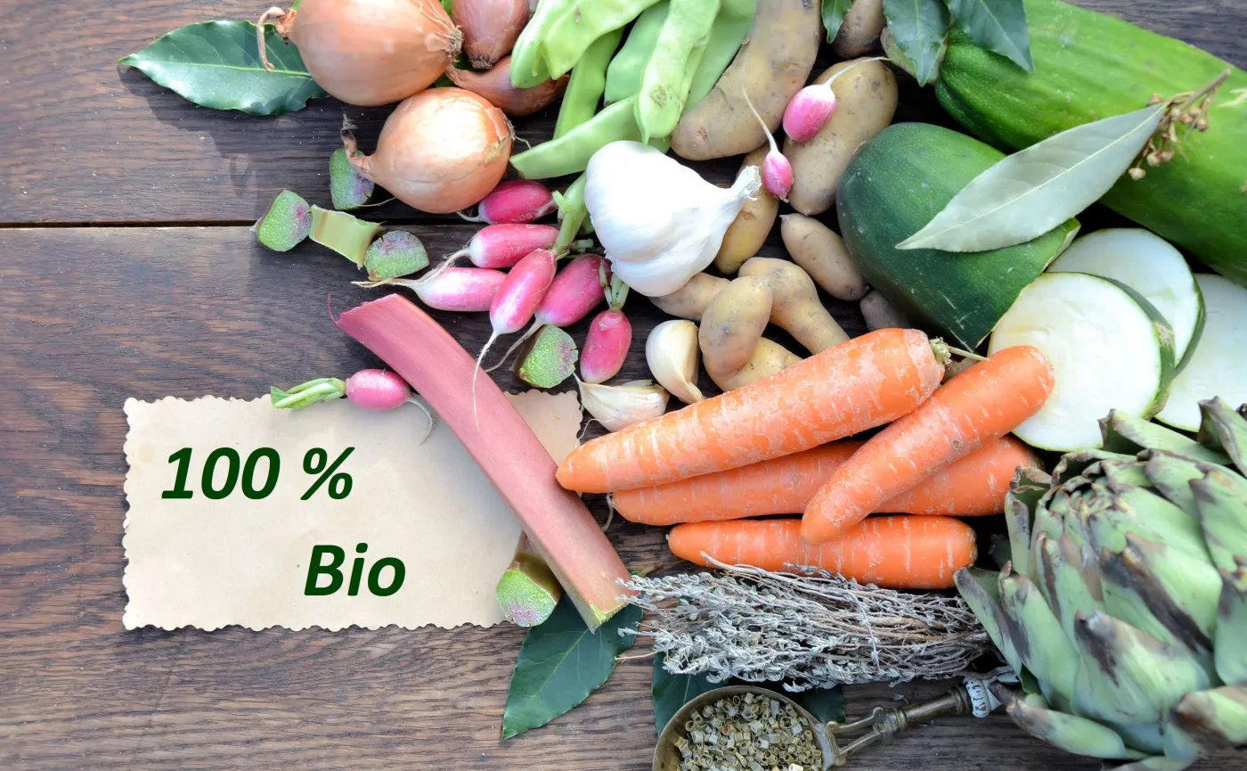 Warzywa ekologiczne, bio