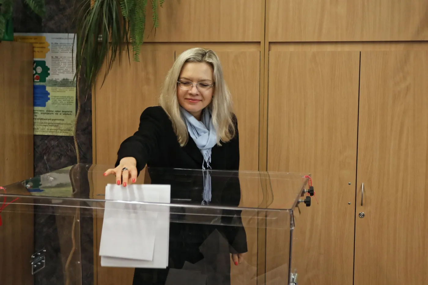 11614136-wybory-samorzadowe-2018.jpg
