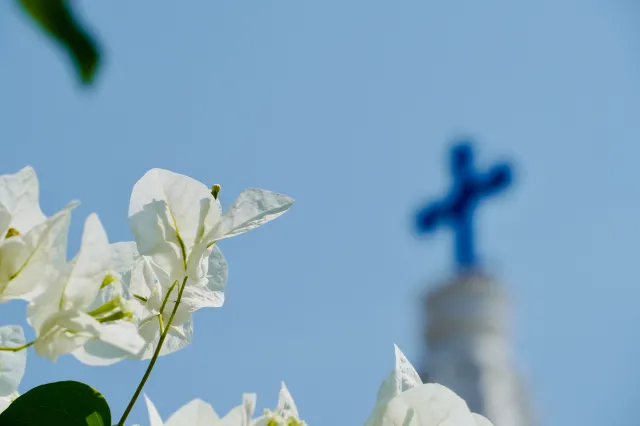 Francuscy biskupi uznali "instytucjonalną odpowiedzialność" Kościoła za pedofilię