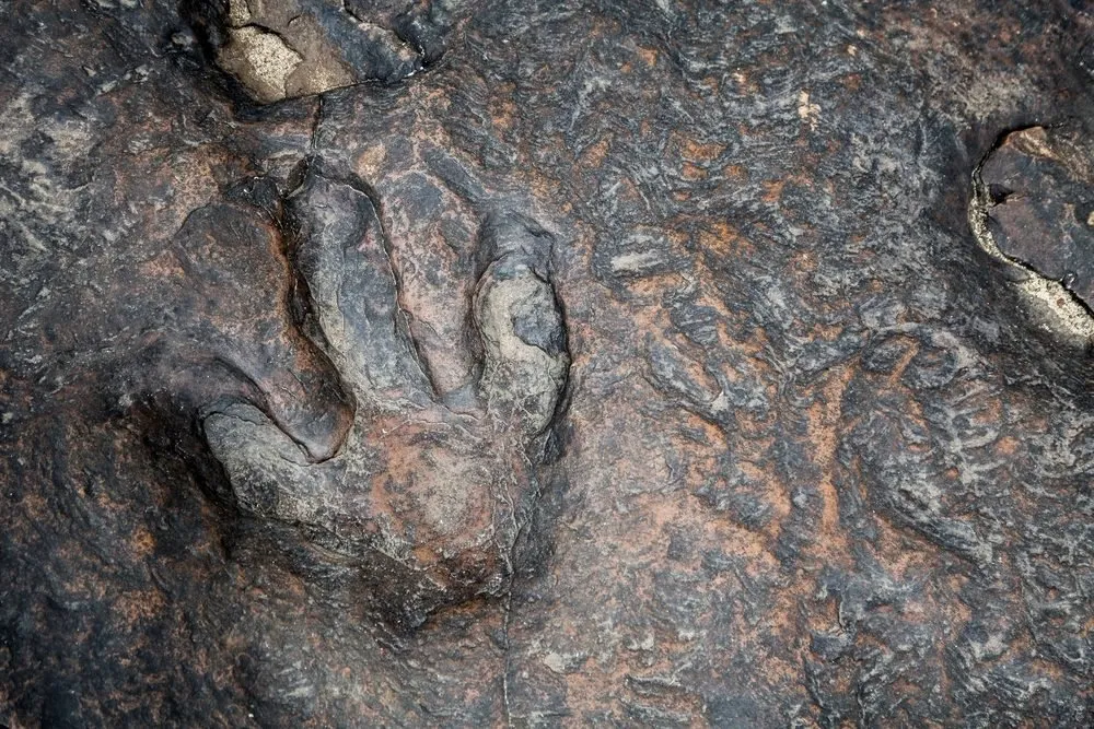 Tajemnicza kradzież... śladu dinozaura. Złodziej działał na zlecenie kolekcjonera?