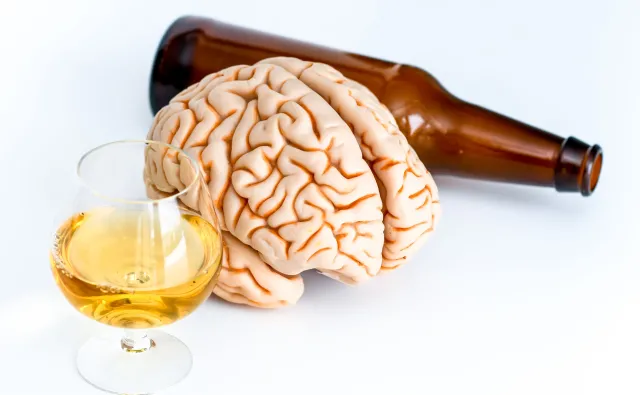 Naukowcy wpadli na nowy trop: Alkohol wywołuje w mózgu groźne błędne koło