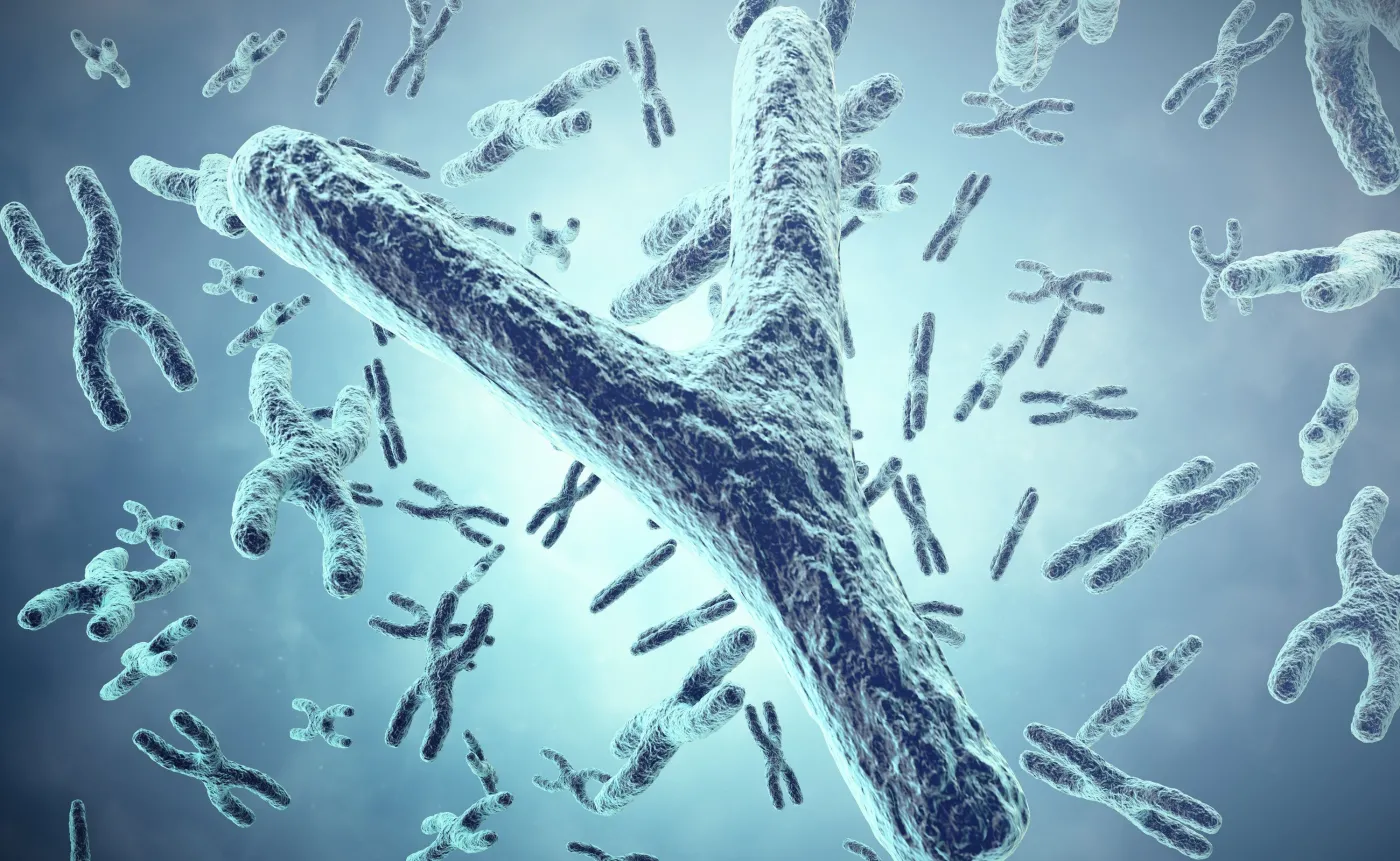 Chromosomy Y