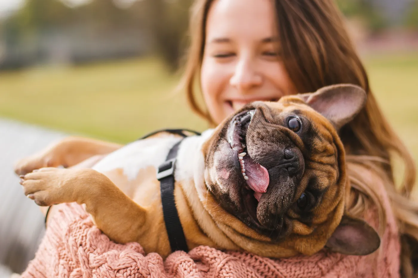 Little,Dog,With,Owner,Spend,A,Day,At,The,Park