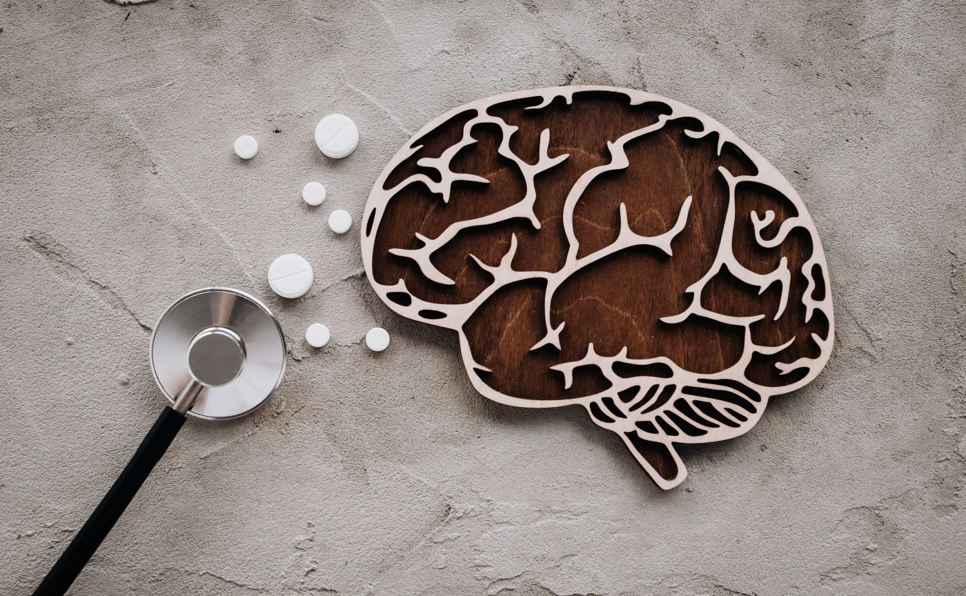 Leczenie alzheimera, mózg