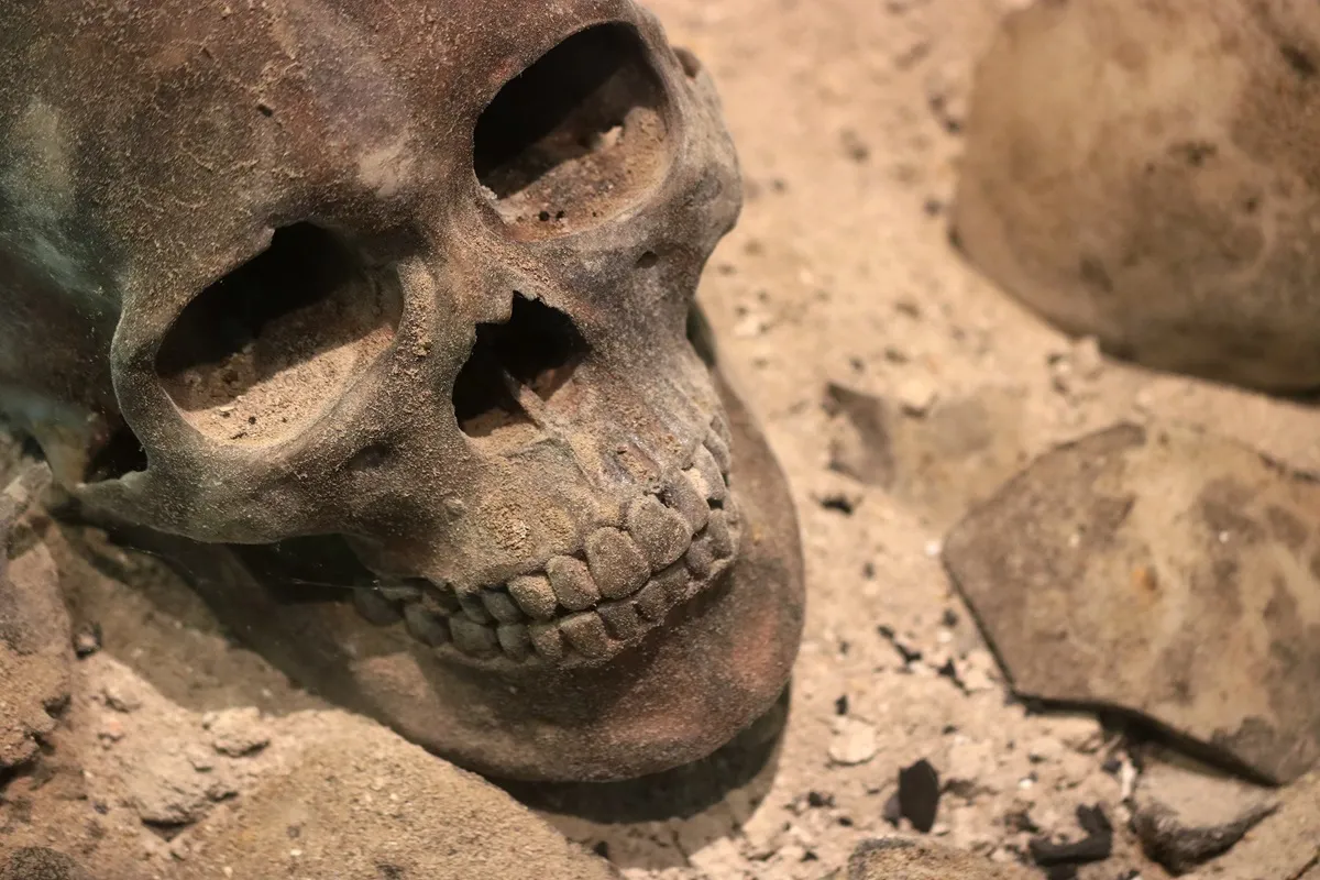 A,Skeleton,Of,Death,Human,Head,That,Put,On,A