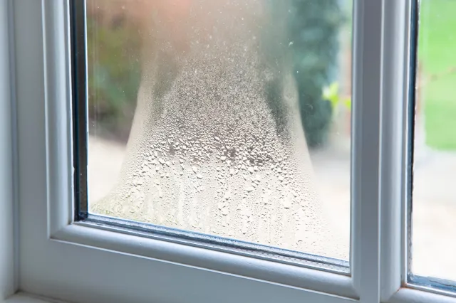 Zaparowane okna? Połóż to na parapecie, a problem zniknie