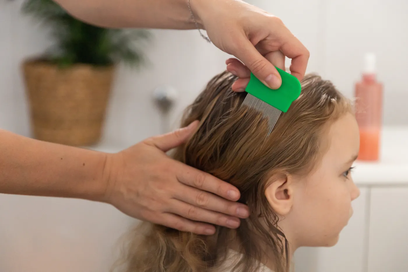 A,Woman,Helps,To,Get,Rid,Of,Lice,And,Parasites