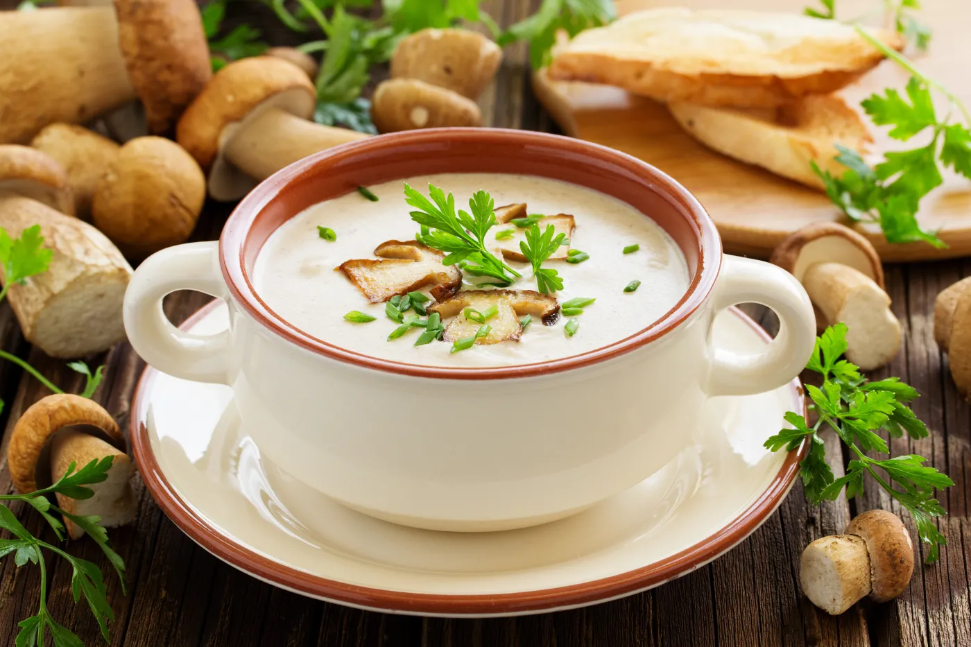 zupa grzybowa