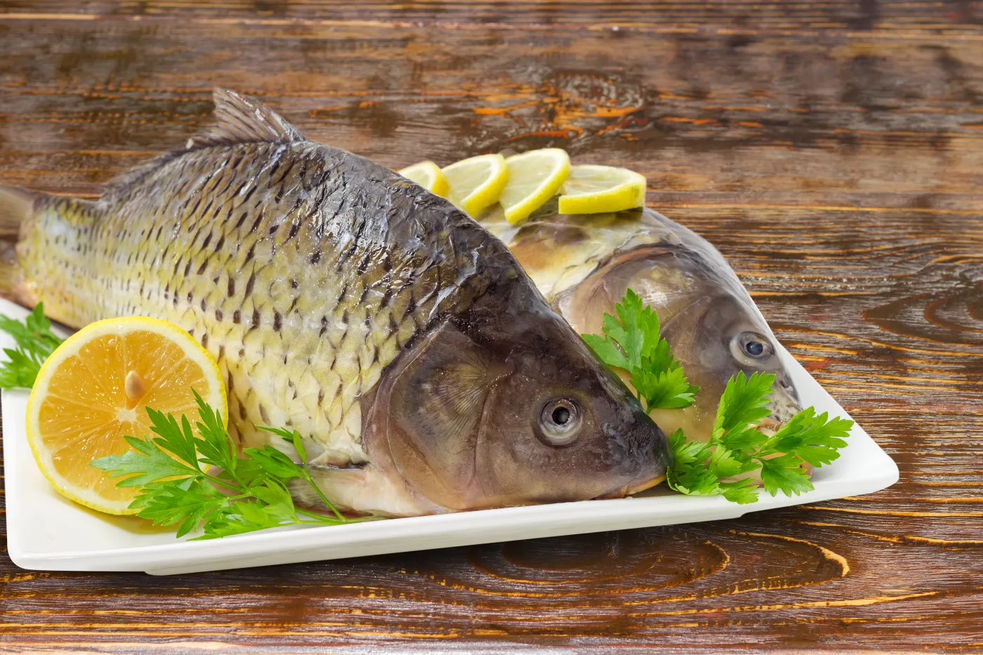 Karp