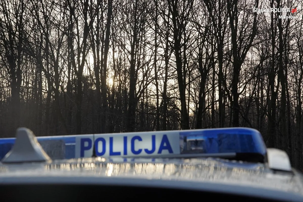 Chwile grozy na Śląsku. Strzały podczas pościgu