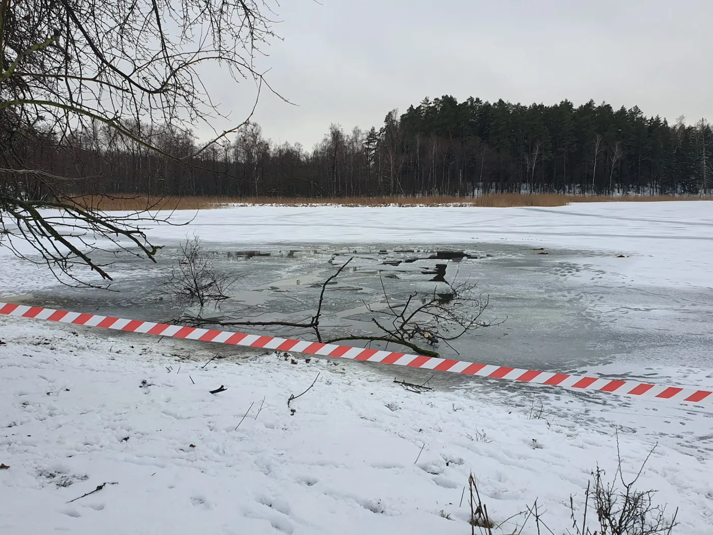 Pod końmi załamał się lód