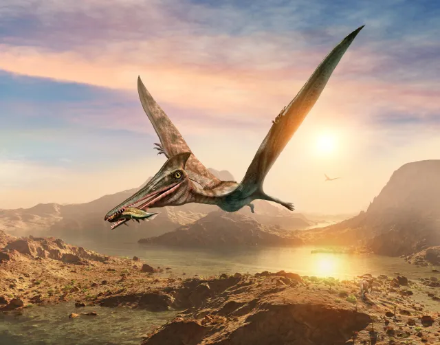 "Całkowite zaskoczenie" w Szkocji. Paleontolodzy dokonali niezwykłego odkrycia