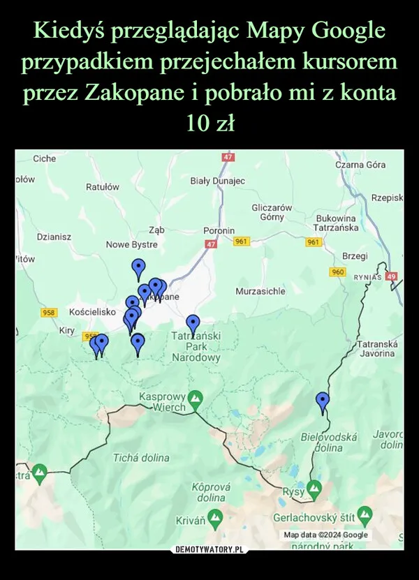 miś z krupówek