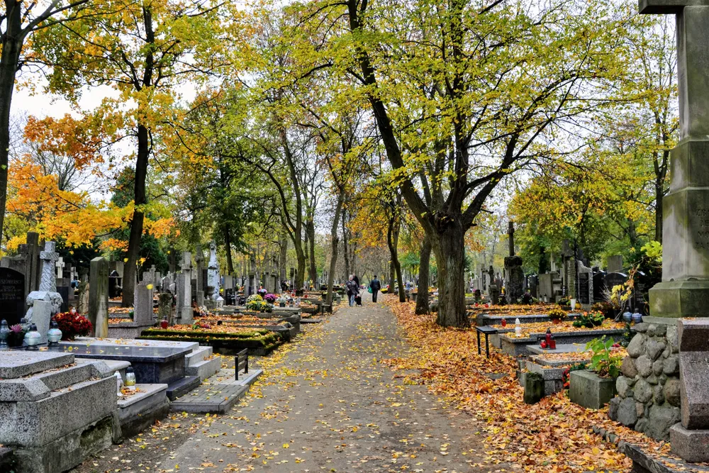 Co się dzieje z człowiekiem po śmierci. Ksiądz odpowiada