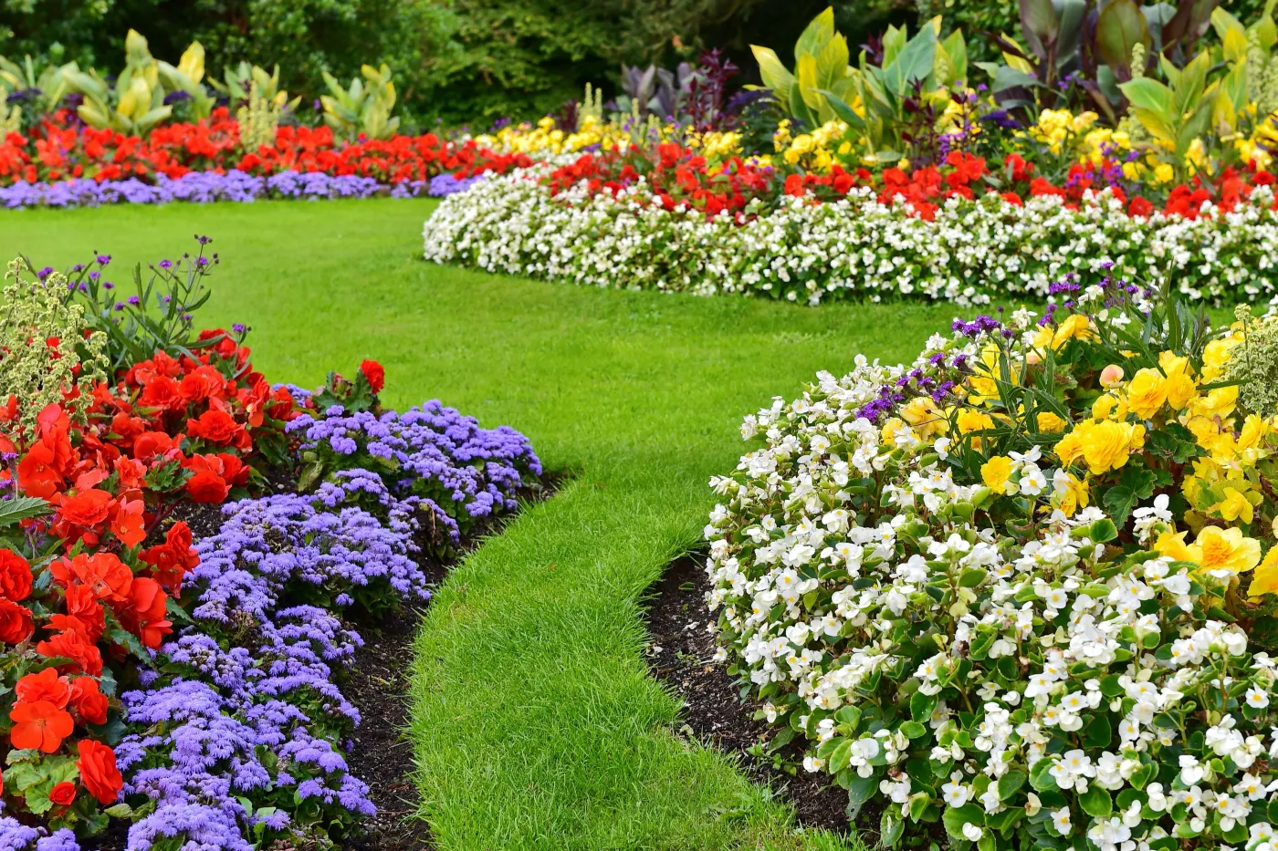 Ogród kwiaty słońce lipiec wysiew w lipcu sadzenie w lipcu kwiaty zioła warzywa Scenic,View,Of,Colourful,Flowers,In,Bloom,And,A,Winding