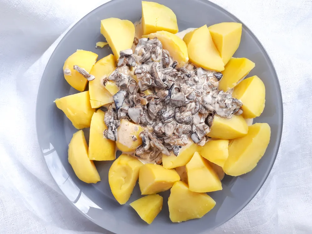 Boiled,Potatoes,With,Mushroom,Creamy,Sauce,From,Various,Kinds,Of