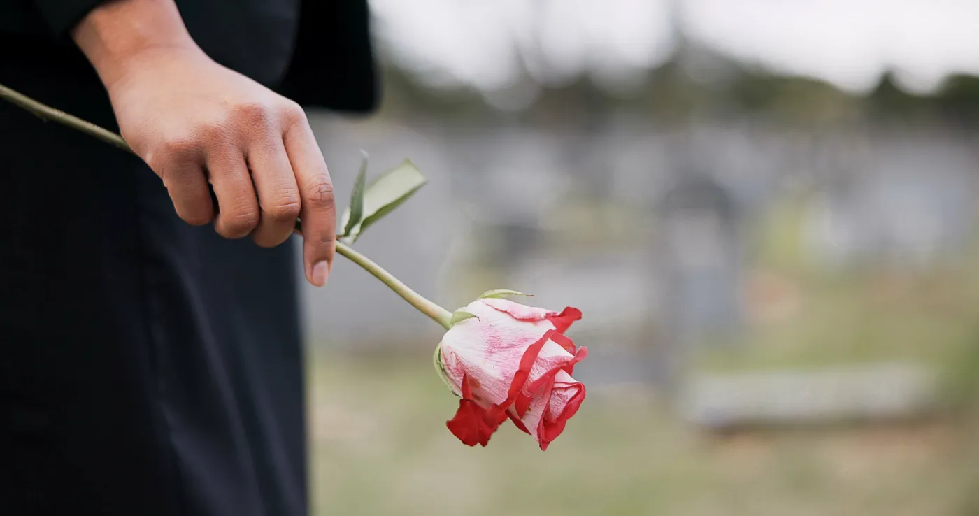Funeral,,Cemetery,And,Hands,Of,Person,With,Rose,For,Remembrance,
