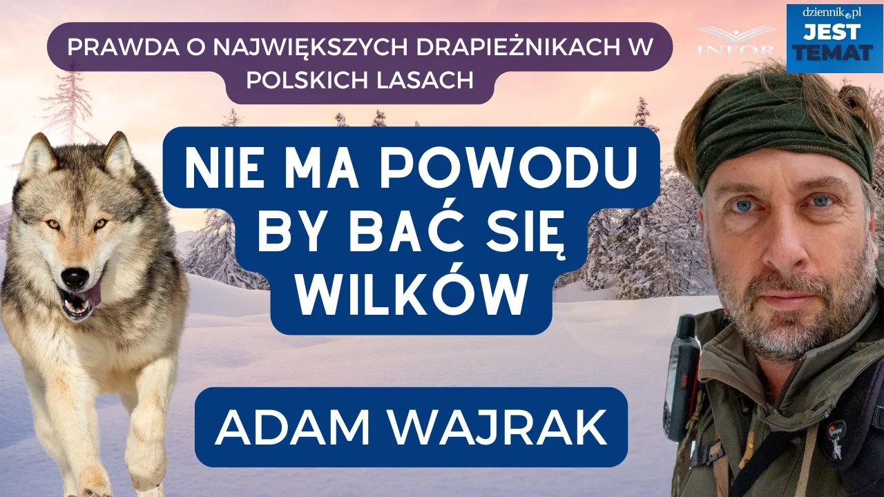 Dlaczego ludzie boją się wilków? 