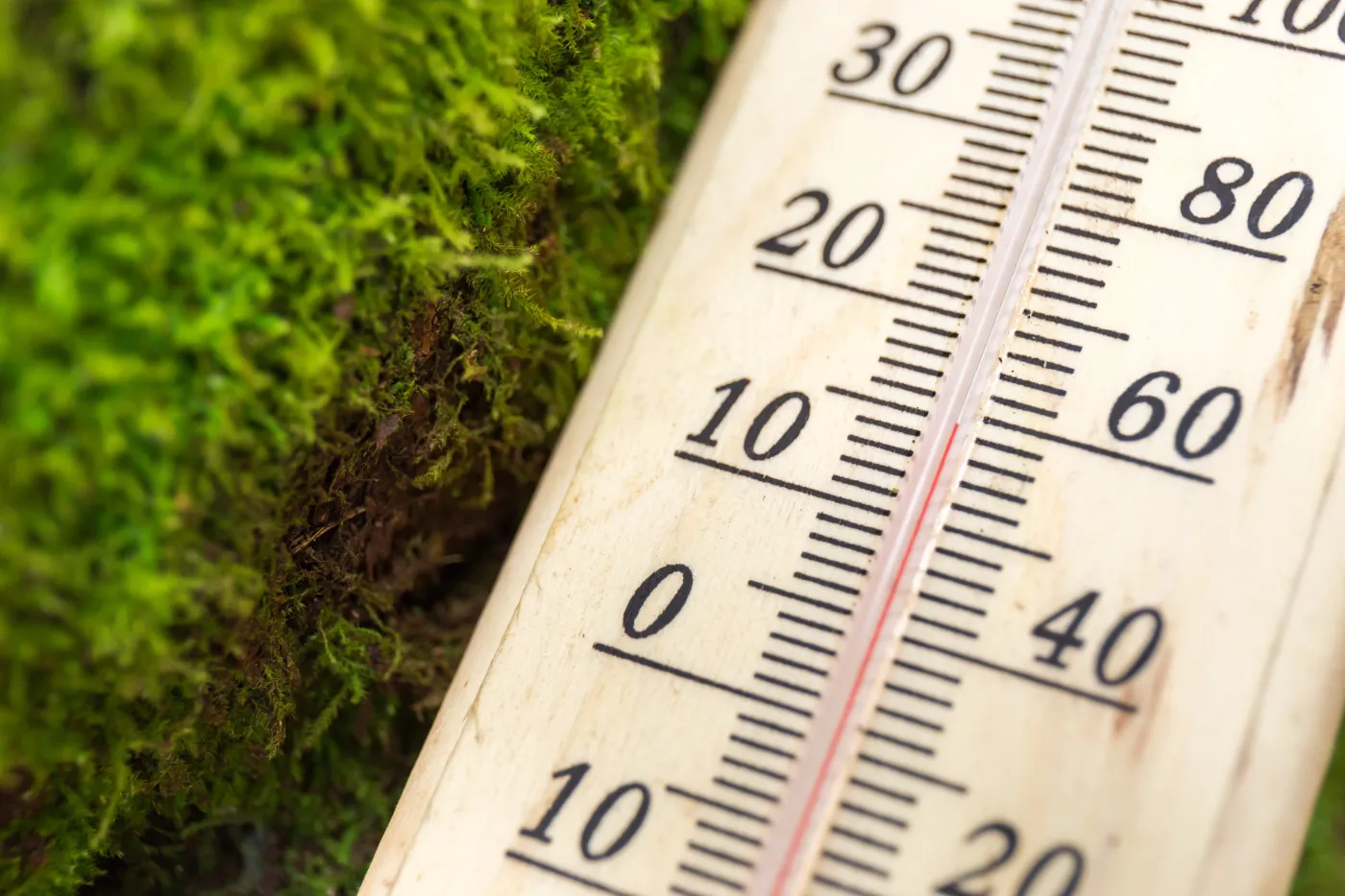 Termometr, temperatura