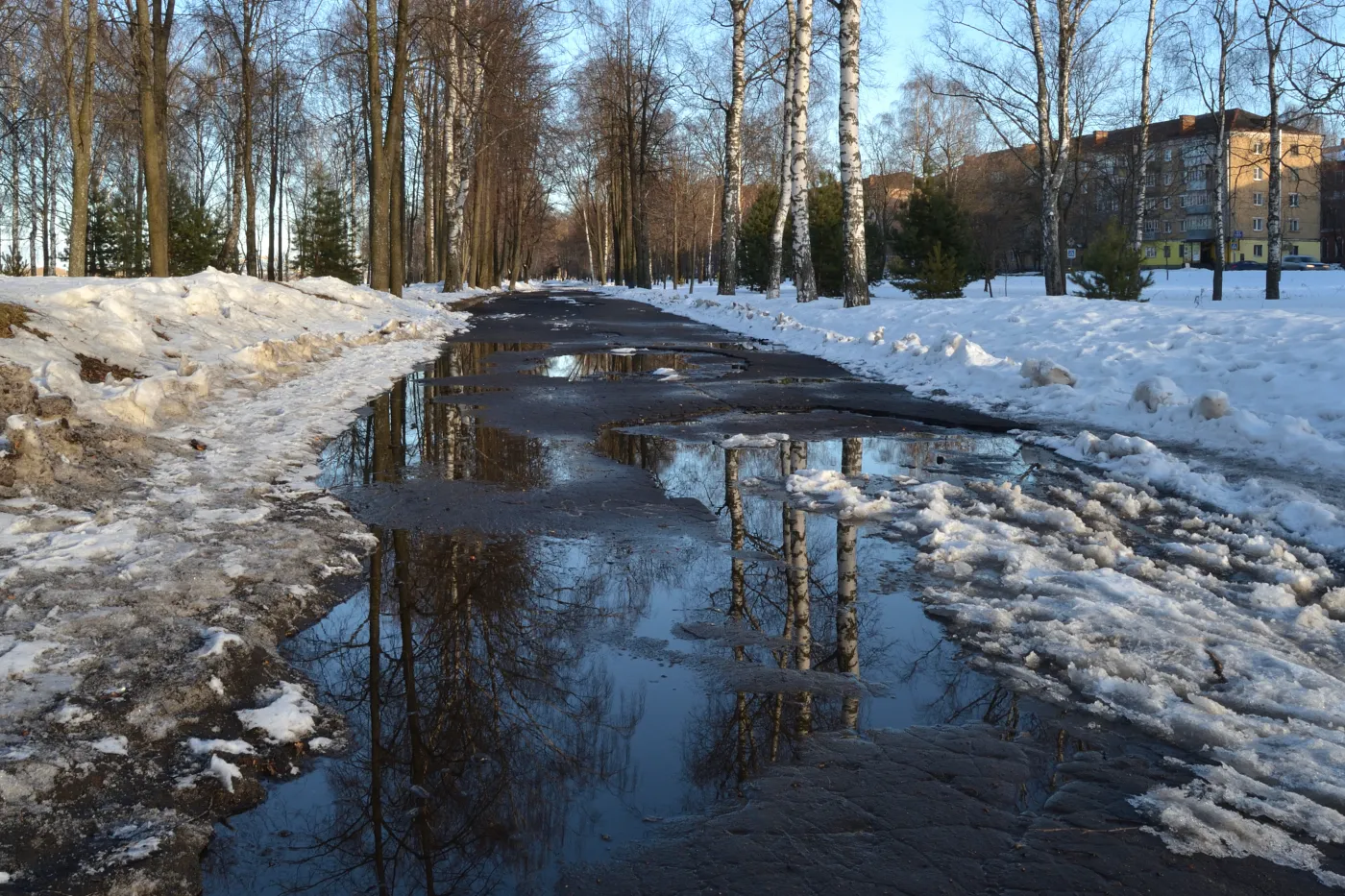 odwilż, zima, pogoda, śnieg, roztopy