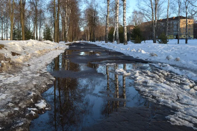 Niezwykły gość z Afryki dotrze nad Polskę. Zjawisko, jakiego dawno nie było