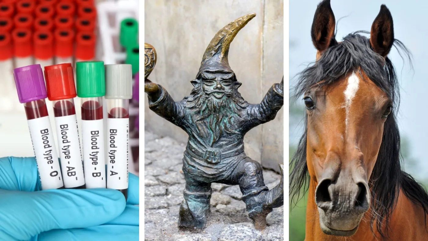 Quiz z wiedzy ogólnej dla mistrzów. 10/15 tylko dla tytanów intelektu