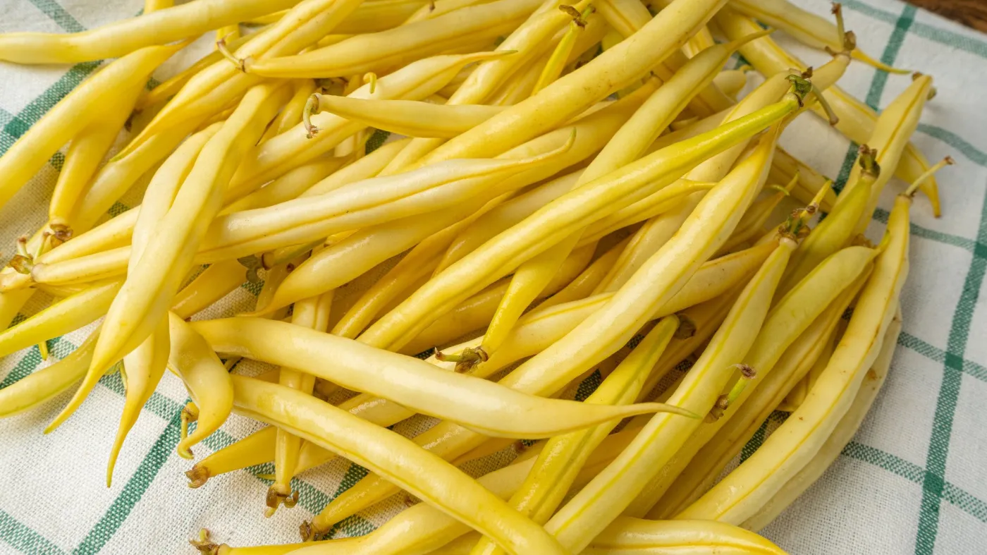 fasolka