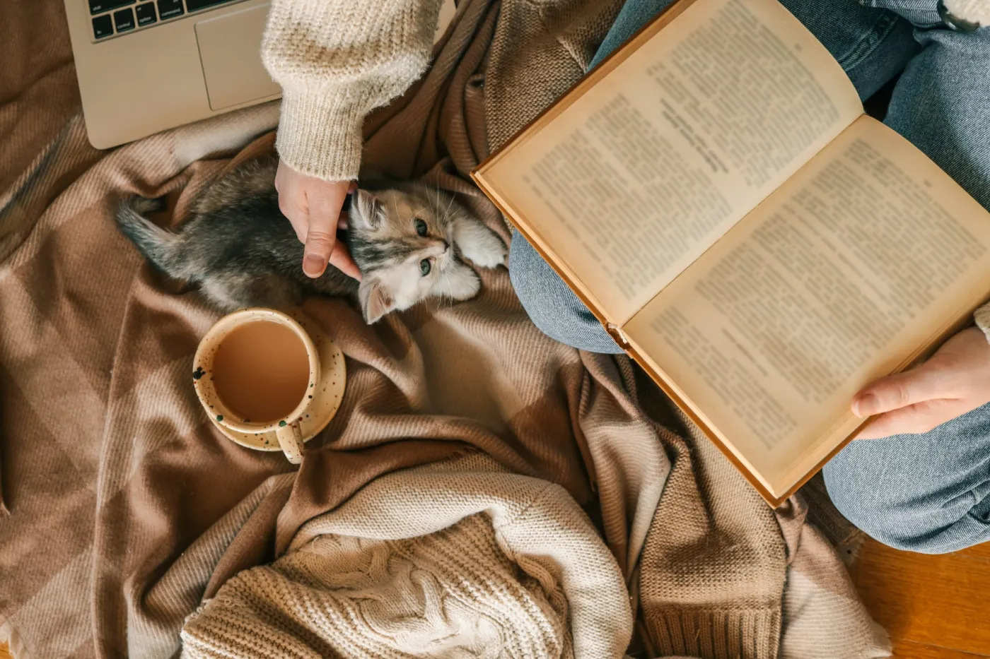 Top,View,Of,A,Cozy,Autumn,Scene,With,A,Person