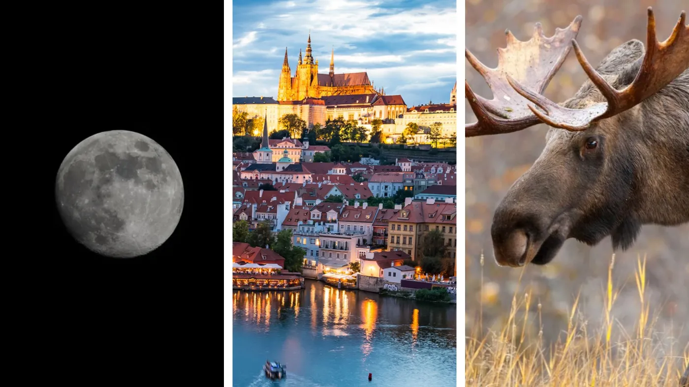 Trudny quiz z wiedzy ogólnej dla mistrzów. 10/15 tylko dla umysłowych gigantów