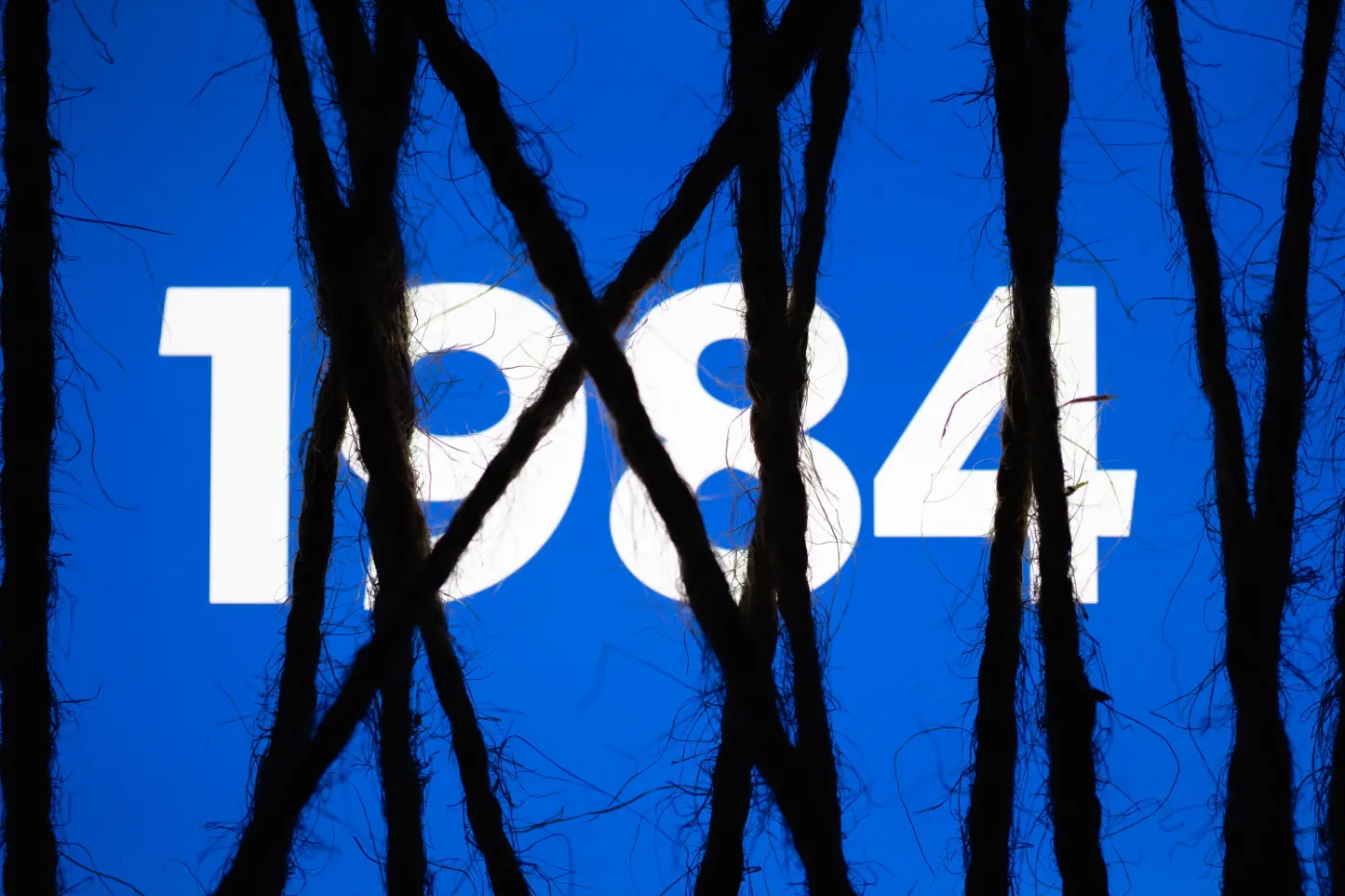 W ostatniej dekadzie Rosjanie najchętniej kupowali... "Rok 1984" Orwella