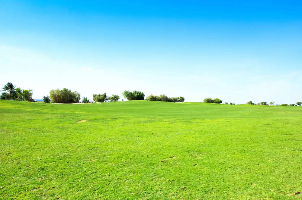 Boom na grunty. Nie zabraknie spektakularnych transakcji