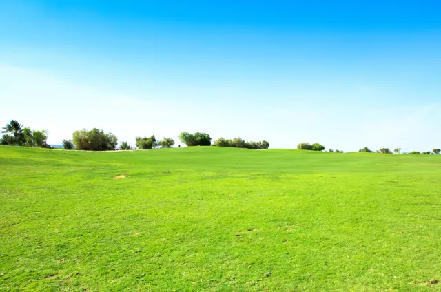 Kurczy się państwowy zasób ziemi. Pozostało 195 tys. ha