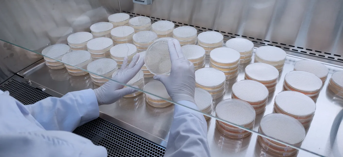 Bakterie oporne na antybiotyki odbierają życie milionom ludzi [RAPORT]